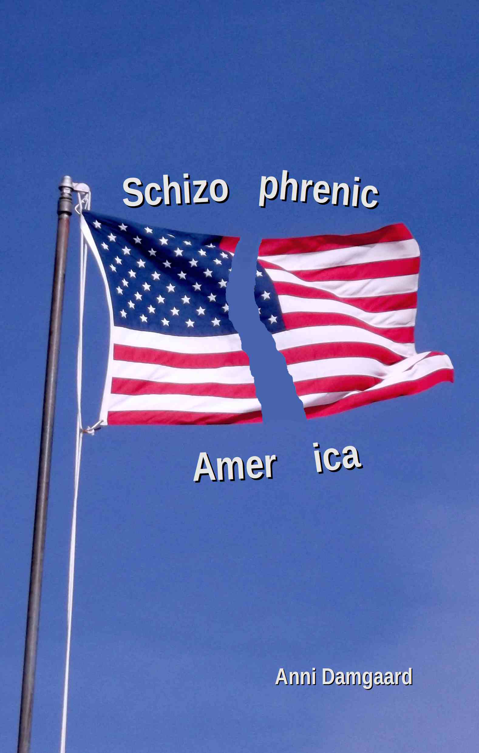Schizophrenic America front cover